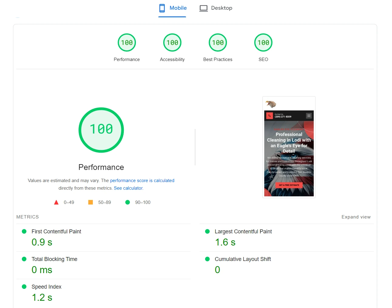 a screenshot showcasing perfect scores on Googles PageSpeed Insights for Eagles Eye Cleaning